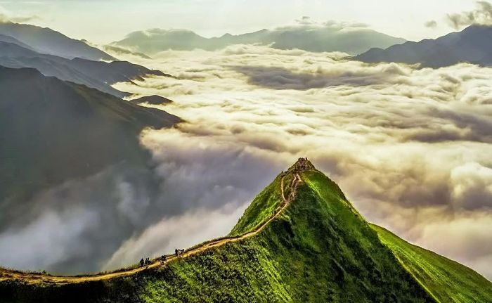 Thiên đường mây Tà Xùa - Điểm đến mới nổi hàng đầu châu Á. (Nguồn: Trung tâm Thông tin du lịch)