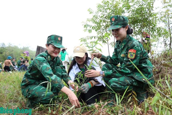 Kỹ thuật trồng tre được hướng dẫn trực tiếp cho các thành viên tham gia mô hình, đảm bảo phù hợp với điều kiện thực tế tại khu vực biên giới xã Phong Thổ. Ảnh: Tuấn Kiệt