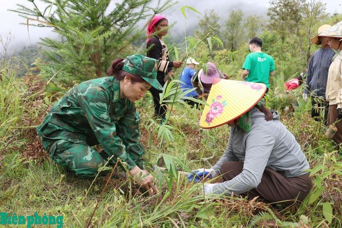 Hội viên Hội Phụ nữ cơ quan Cục Chính trị Bộ đội Biên phòng cùng người dân xã Phong Thổ trồng tre tại khu vực biên giới. Ảnh: Tuấn Kiệt