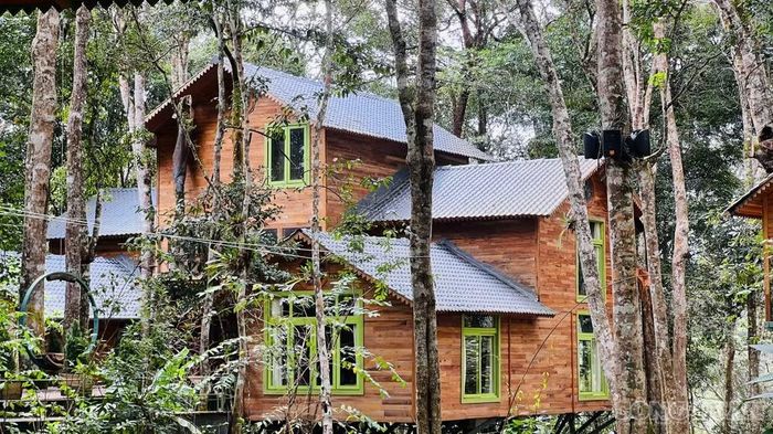 Trước đó, vào năm 2025 UBND tỉnh Quảng Ngãi đã ban hành quyết định công nhận Măng Đen Treehouse là điểm du lịch