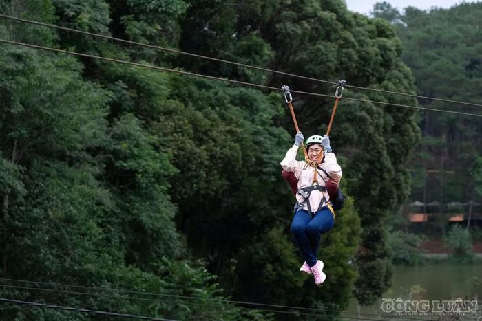 Bên cạnh hệ thống nhà cây, Măng Đen Treehouse còn phát triển nhiều hoạt động trải nghiệm như zipline, skywalk xuyên tán rừng...