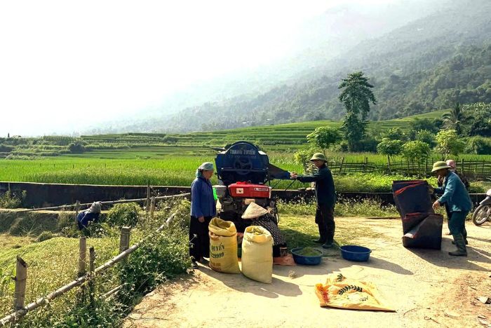 Từ việc chọn thời điểm thu hoạch đến rang, giã, sàng cốm đều đòi hỏi sự khéo léo. (Ảnh: Phương Thanh)