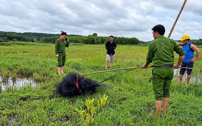 Tiêu huỷ những tấm lưới tàng hình.