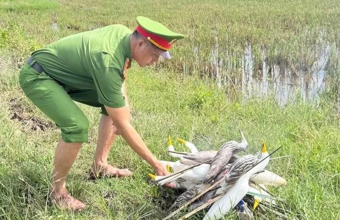 Tiêu huỷ tang vật thu giữ được.