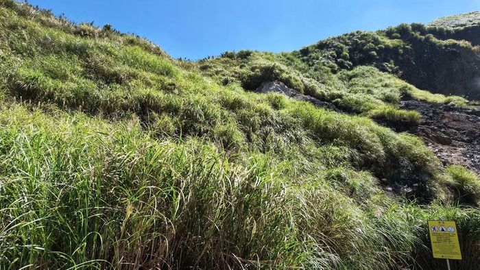 Trên nền đất có tính chất địa chất đặc biệt, thiên nhiên vẫn phát triển mạnh mẽ. Những thảm thực vật xanh tạo nên sự tương phản thú vị giữa một vùng đất từng chịu ảnh hưởng của núi lửa và cảnh quan mềm mại ngày nay.