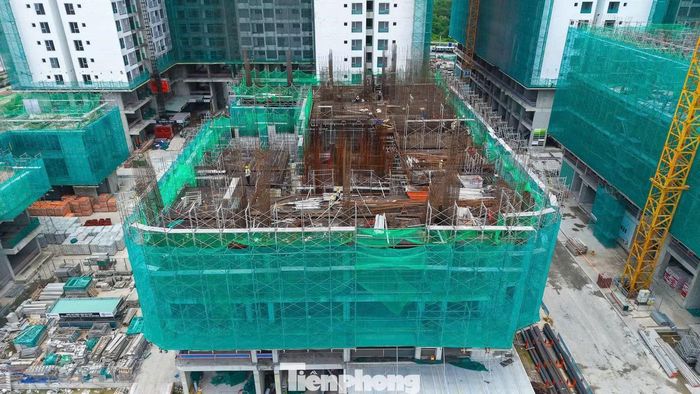 M&A và hợp tác đầu tư sẽ tiếp tục là những kênh quan trọng để dòng vốn tiếp cận thị trường.
