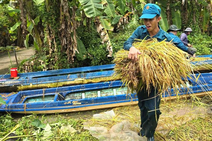 Hình ảnh những người lính dân quân ngâm mình dưới nước, gặt từng bông lúa, bê từng bó vào sân nhà đã trở thành tựa đỡ tinh thần cho bà con nông dân Khánh Hưng lúc khó khăn.