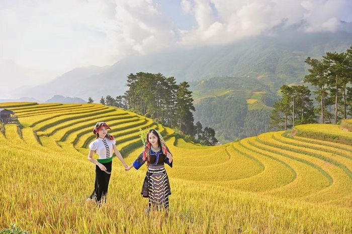 Thời tiết nắng đẹp trong những ngày này tạo điều kiện thuận lợi để du khách tham quan, chụp ảnh và ghi hình mùa lúa chín.