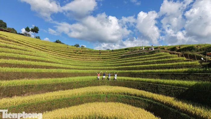 Một góc khu đồi Móng Ngựa, bản Võng Lúa, xã Mù Cang Chải, nơi du khách tìm đến ngắm và ghi lại cảnh ruộng bậc thang mùa lúa chín.