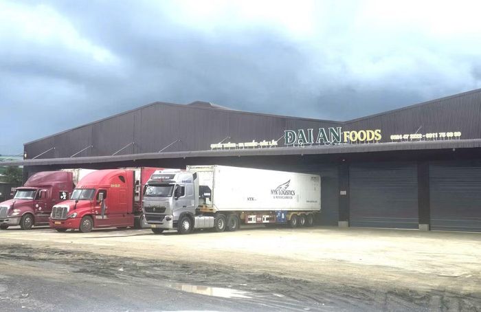 Kho Đại An Foods xây dựng tháng 7/2026, có tổng diện tích 2.376m² trên đất nông nghiệp.