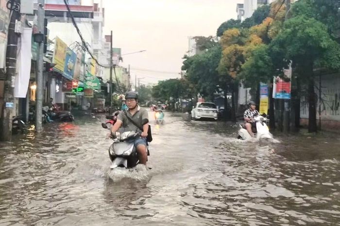 Ngoài các trục đường chính, nhiều hẻm nhỏ và khu dân cư nội thành cũng rơi vào cảnh ngập lụt. Ông Bùi Văn Hoai (ngụ phường Tân Thành) chia sẻ: “Tôi năm nay 57 tuổi và 22 năm sống ở trung tâm Cà Mau nhưng lần đầu tiên chứng kiến cảnh ngập khủng khiếp. Vỉa hè vừa mới nâng cấp lên cao nhưng vẫn bị nước ngập tràn vào nhà”.