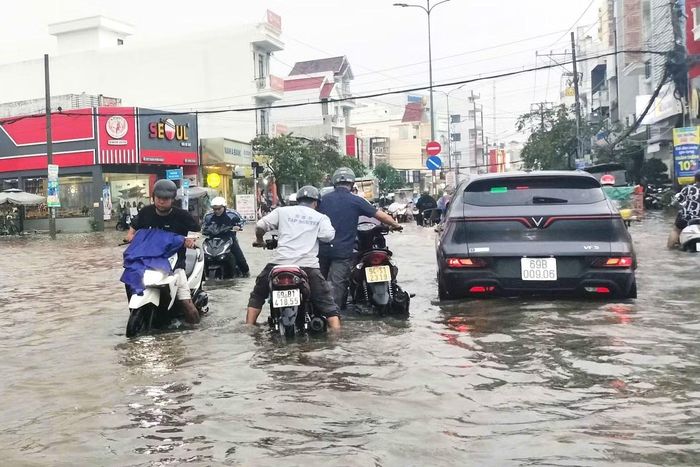 Các tuyến đường trọng điểm khu vực trung tâm như Trần Hưng Đạo, Ngô Quyền, Phan Ngọc Hiển,… đều xuất hiện nhiều điểm ngập sâu.