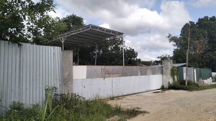 Trang trại chăn nuôi heo vi phạm về môi trường ở xã Ea Knốp (Đắk Lắk)