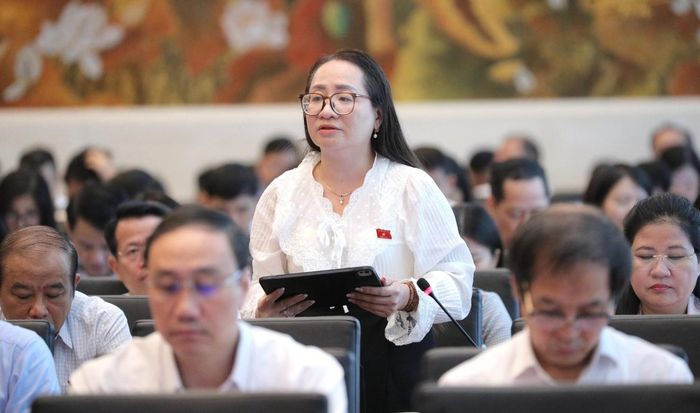 ĐBQH Hà Thị Anh Thư - Đoàn ĐBQH tỉnh Quảng Ngãi. (Ảnh: Hồ Long)