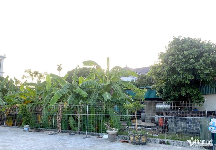 Nhiều loại giấy tờ có thể chứng minh quá trình sử dụng đất. Ảnh minh họa: Hồng Khanh
