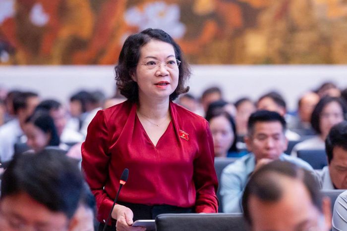 Đại biểu Mai Thị Phương Hoa. Ảnh: Media QH