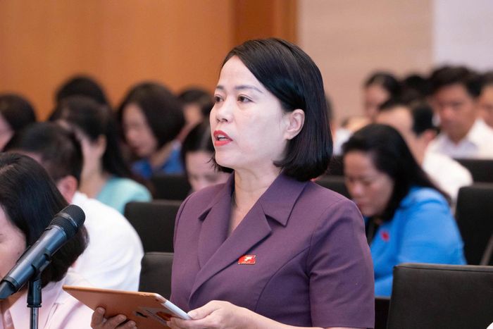 Đại biểu Lý Thị Lan. Ảnh: Media QH