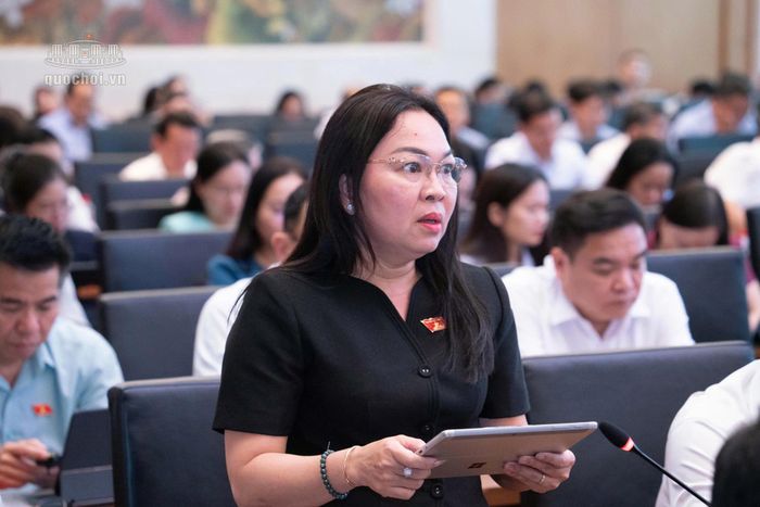 Đại biểu Lý Anh Thư. Ảnh: Media QH