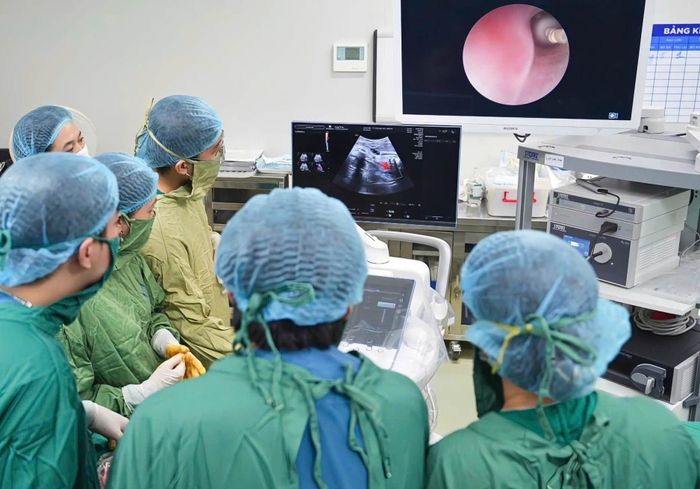 Việc thực hiện thành công ca can thiệp bào thai bằng kỹ thuật FETO đầu tiên tại Việt Nam đã mở thêm cơ hội điều trị cho thai nhi mắc thoát vị hoành bẩm sinh nặng ngay từ trong bụng mẹ.