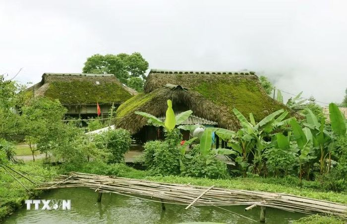 Những ngôi nhà với mái rêu phong xanh nơi núi rừng vùng biên giới Thanh Thủy (Tuyên Quang). (Ảnh: Đức Thọ/TTXVN)