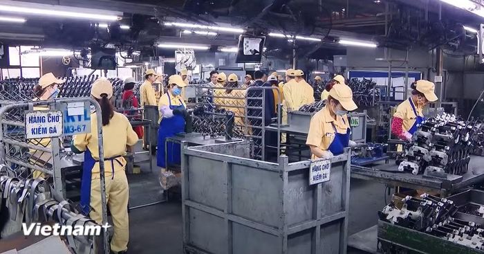 Các chuyên gia cho rằng quy mô thị trường tiêu dùng trong nước ngày càng mở rộng. (Ảnh: Vietnam+)