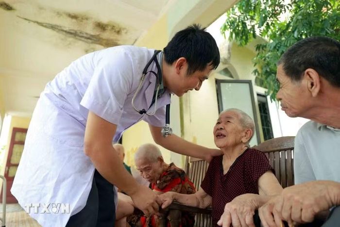 Những cử chỉ chăm sóc tận tình mang đến sự ấm áp cho người có công và đối tượng bảo trợ xã hội. (Ảnh: Hữu Quyết/TTXVN)