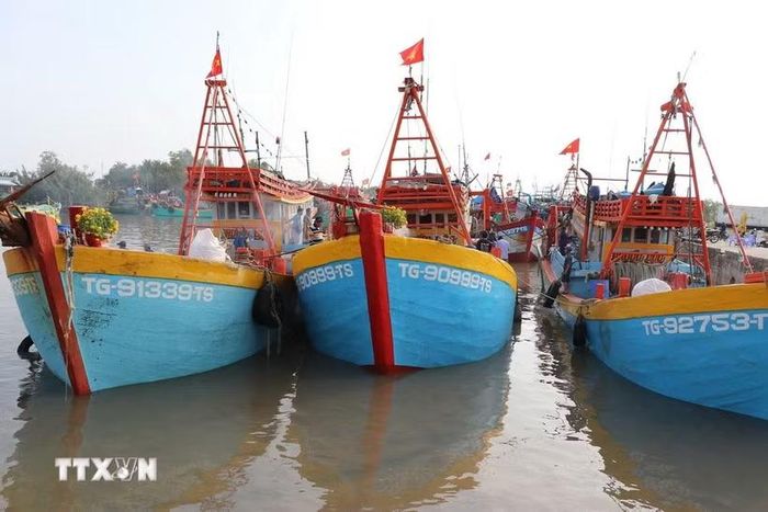 Các tàu cá neo đậu chuẩn bị ra khơi. (Ảnh minh họa: Hữu Chí/TTXVN)
