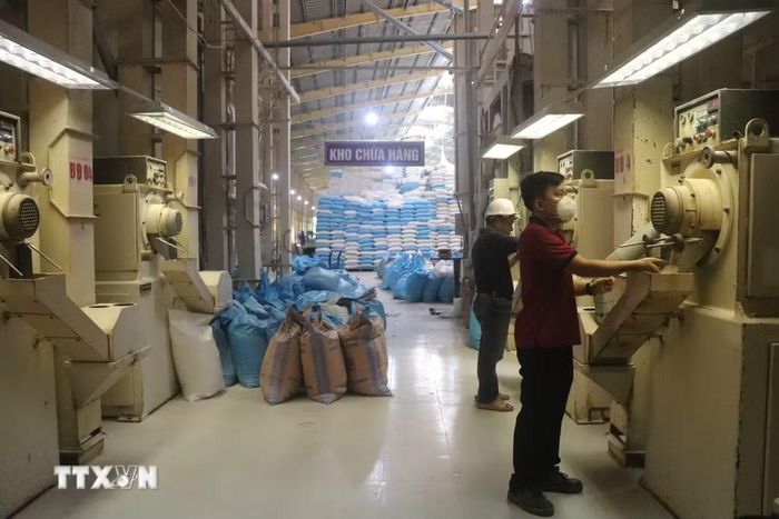 Ứng dụng công nghệ sấy kết hợp hệ thống silo cải tiến giúp bảo toàn khoảng 1,5% giá trị lúa gạo. (Ảnh: Thu Hiền/TTXVN)