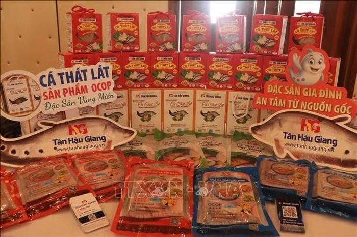 Thành phố Cần Thơ hiện có hơn 900 sản phẩm đạt chứng nhận OCOP góp phần mở rộng thị trường tiêu thụ và đáp ứng yêu cầu an toàn thực phẩm ngày càng cao của người tiêu dùng.