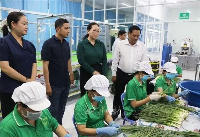 Phó Chủ tịch Thường trực Ủy ban mặt trận Tổ quốc Việt Nam tỉnh Vĩnh Long Nguyễn Thị Hồng Nhung khảo sát thực tế tình hình hoạt động của Hợp tác xã Rau an toàn Nắng Xanh ở phường Bình Minh.