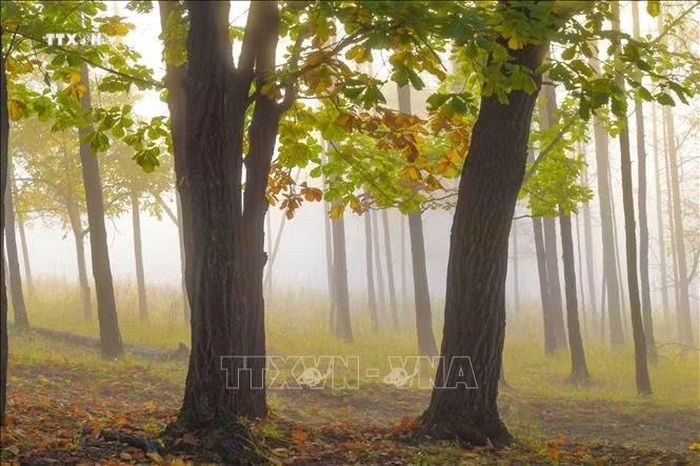 Cảnh sắc mùa Thu tại huyện Bạch Tuyền, tỉnh Hắc Long Giang, Trung Quốc.