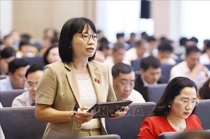 Đại biểu Quốc hội TP Hải Phòng Nguyễn Thị Việt Nga phát biểu.