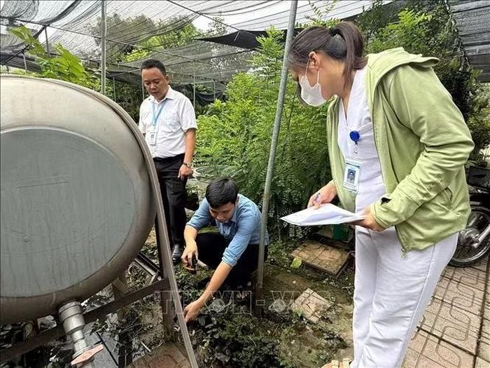 Các vũng nước đọng là môi trường thuận lợi cho muỗi và bọ gậy phát triển, làm tăng nguy cơ xuất hiện và lan rộng các ổ dịch sốt xuất huyết.