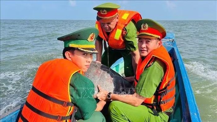 Bộ đội biên phòng Cà Mau phối hợp thả vích về biển. Ảnh: TTXVN phát