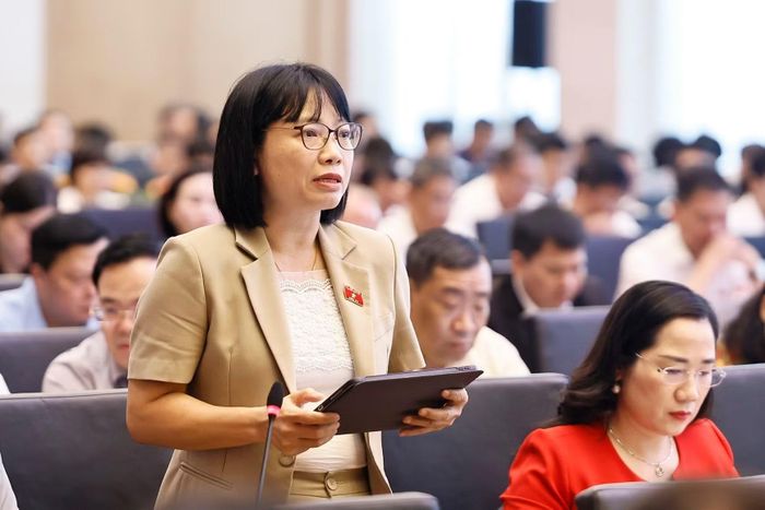 Đại biểu Quốc hội TP Hải Phòng Nguyễn Thị Việt Nga phát biểu. Ảnh: Doãn Tấn/TXVN
