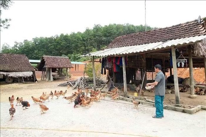 Nhờ nguồn vốn vay ưu đãi, nhiều hộ gia đình ở vùng biên Hà Tĩnh đã vươn lên thoát nghèo.