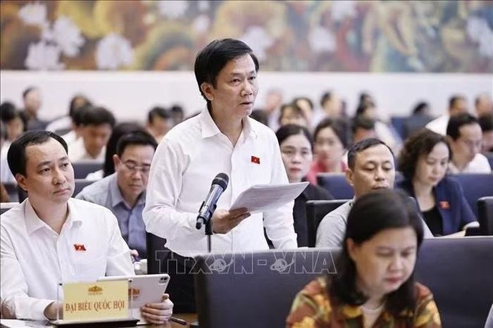 Đại biểu Quốc hội tỉnh Lâm Đồng Lâm Văn Đoan phát biểu. Ảnh: Doãn Tấn/TTXVN