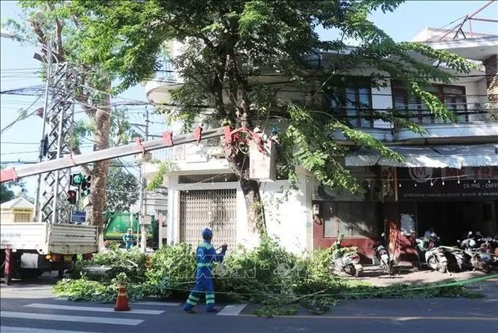 Công ty môi trường đô thị Quảng Ngãi cắt tỉa, hạ thấp tán cây xanh trước mùa mưa.