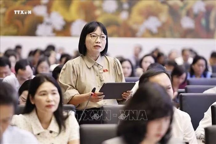 Đại biểu Quốc hội thành phố Hải Phòng Nguyễn Thị Việt Nga phát biểu. Ảnh: Doãn Tấn/TTXVN