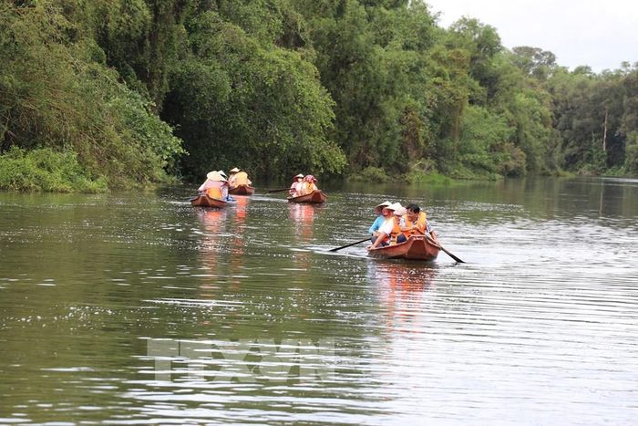 Khu bảo tồn sinh thái Đồng Tháp Mười thu hút khách du lịch bởi nét nguyên sơ, không khí trong lành. Ảnh: Hữu Chí - TTXVN