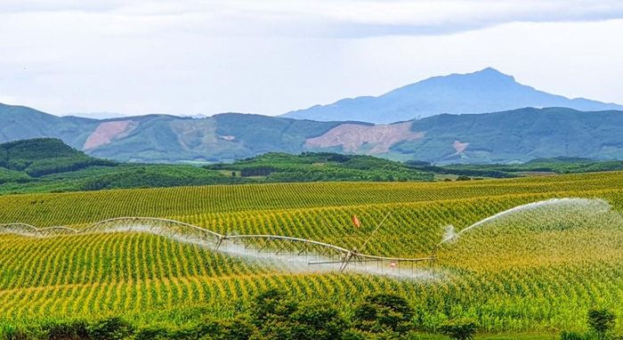 Hệ thống tưới nước tự động tại đồng cỏ của TH.