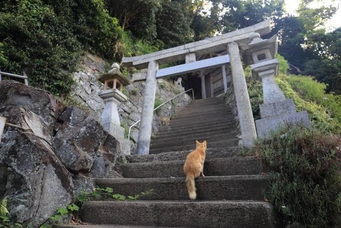 Ảnh: Japan Travel