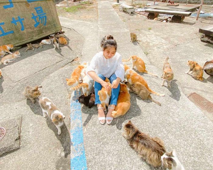 Khách du lịch chơi đùa cùng mèo trên đảo. Ảnh: Japan Travel
