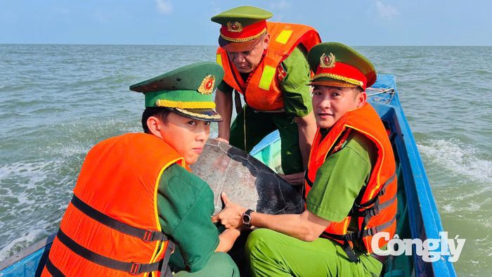 Đồn Biên phòng Tam Giang Tây phối hợp công an xã Tân Ân thả cá thể vích 70kg về biển
