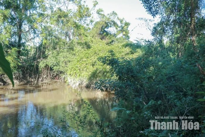 Cây cối hai bên mọc um tùm phủ kín dòng kênh.