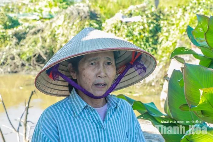 Bà Nguyễn Thị Liên, thôn Mỹ Trạch, xã Quảng Yên, cho biết: “Tình trạng cây cối, bè mảng rau muống mọc um tùm kín mặt sông diễn ra đã lâu, gây ách tắc dòng chảy về mùa mưa, khiến một số điểm bị ngập úng”.