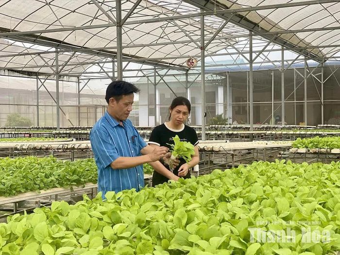 Thông qua truyền thông, trên địa bàn xã Hoa Lộc đã có hàng chục mô hình sản xuất hiệu quả kinh tế cao.