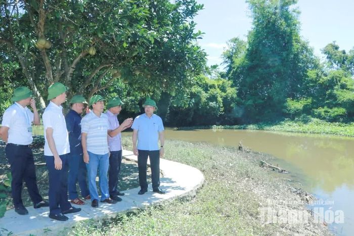 Phó Chủ tịch UBND tỉnh Cao Văn Cường kiểm tra khu vực ngã ba Nấp, nơi giao giữa sông nhà Lê và sông Vinh.