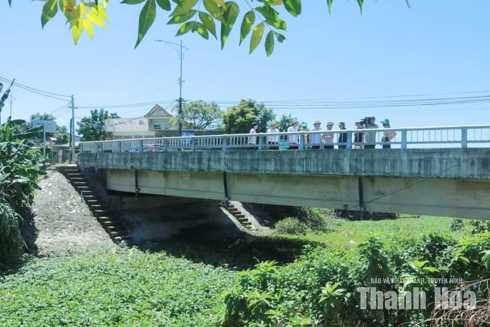 Bèo, rau muống phủ kín mặt nước sông Lý.