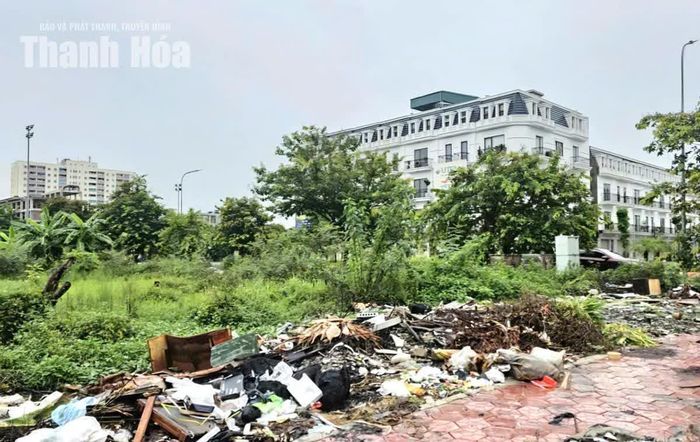 Rác thải đổ bừa bãi ngay gần đường Trịnh Kiểm, phố Thành Yên, phường Quảng Phú